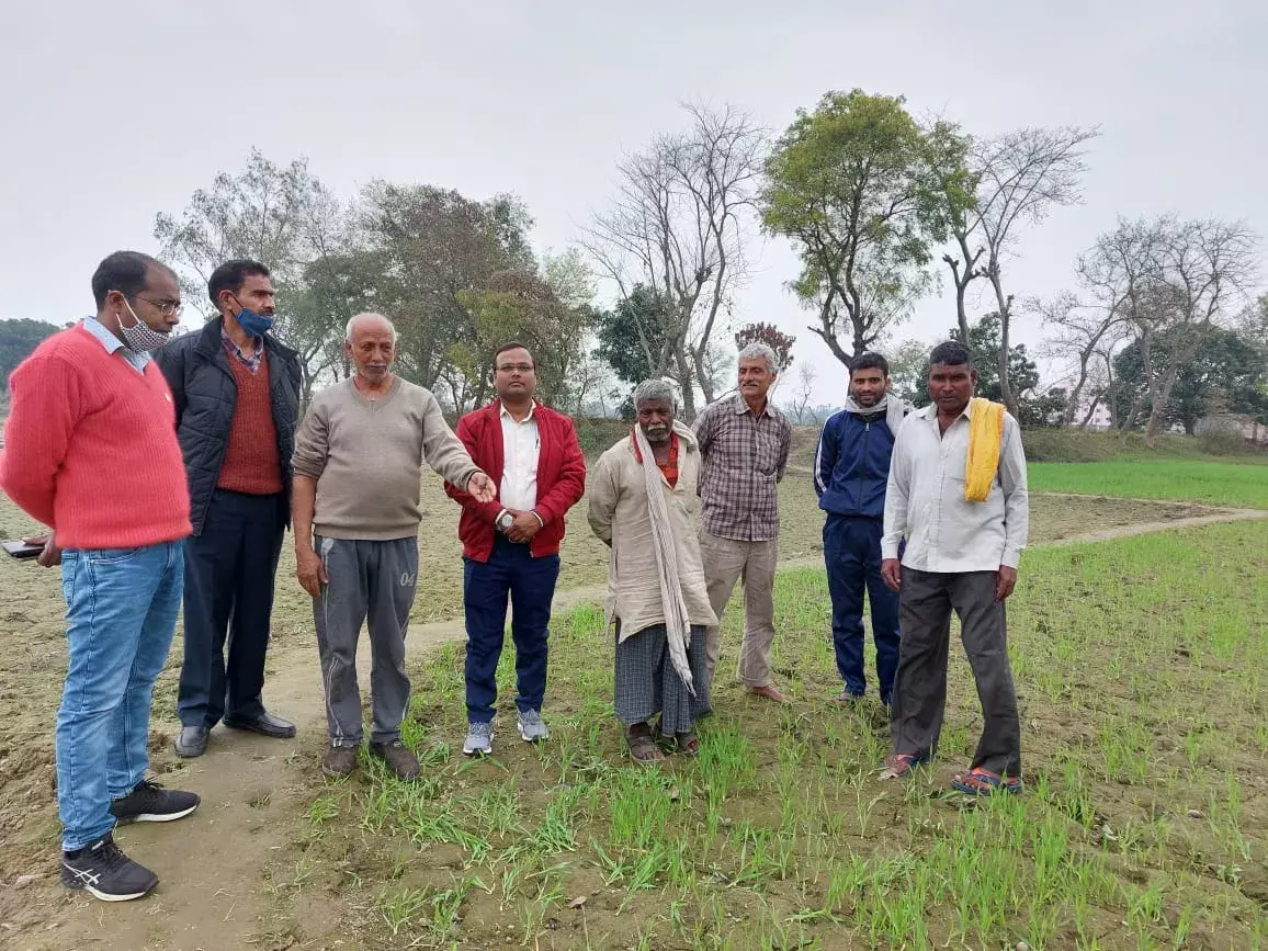 рд░рдмреА рдореМрд╕рдо рдореЗрдВ рдХрд┐рд╕рд╛рди рдХрд░реЗрдВ рдордХреНрдХреЗ рдХреА рдЦреЗрддреА- рд╕реАрдбреАрдУ рд░рдмреА рдореМрд╕рдо рдореЗрдВ рдХрд┐рд╕рд╛рди рдХрд░реЗрдВ рдордХреНрдХреЗ рдХреА рдЦреЗрддреА- рд╕реАрдбреАрдУ