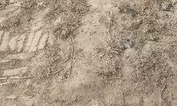 फर्जी खडन्जा मरम्मत दिखाकर निकाले गये लाखो रूपये