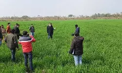 अपर कृषि निदेशक वीरेन्द्र कुमार सिसोदिया ने किया क्षेत्र भ्रमण