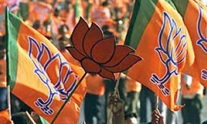 राष्ट्रवादी समतावादी पार्टी ने भाजपा में अपना विलय कर लिया जबकि कई संगठनों ने बिना शर्त समर्थन दिया है राष्ट्रवादी समतावादी पार्टी ने भाजपा में अपना विलय कर लिया जबकि कई संगठनों ने बिना शर्त समर्थन दिया है