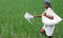 जनपद में यूरिया की आयी 08 रैक, 10800 मै० टन यूरिया की आपूर्ति प्राप्त