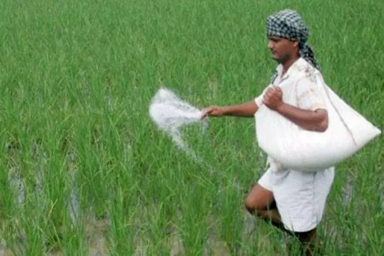 जनपद में यूरिया की आयी 08 रैक, 10800 मै० टन यूरिया की आपूर्ति प्राप्त