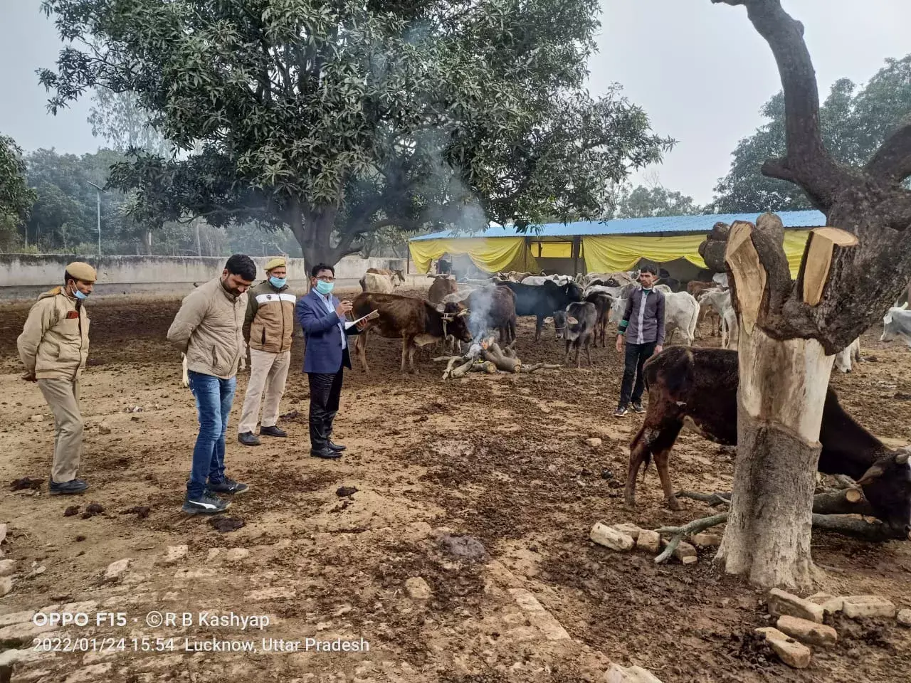 ठंड से बचने के लिए गौशाला में एसडीएम ने डलवाया अलाव