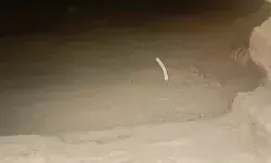 चोरों ने सेंध लगाकर लाखों रुपयों की जेवर व हजारों पर किया हाथ साफ चोरों ने सेंध लगाकर लाखों रुपयों की जेवर व हजारों पर किया हाथ साफ