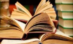 अनुभव बिना पुस्तकीय ज्ञान से विकास संभव नही