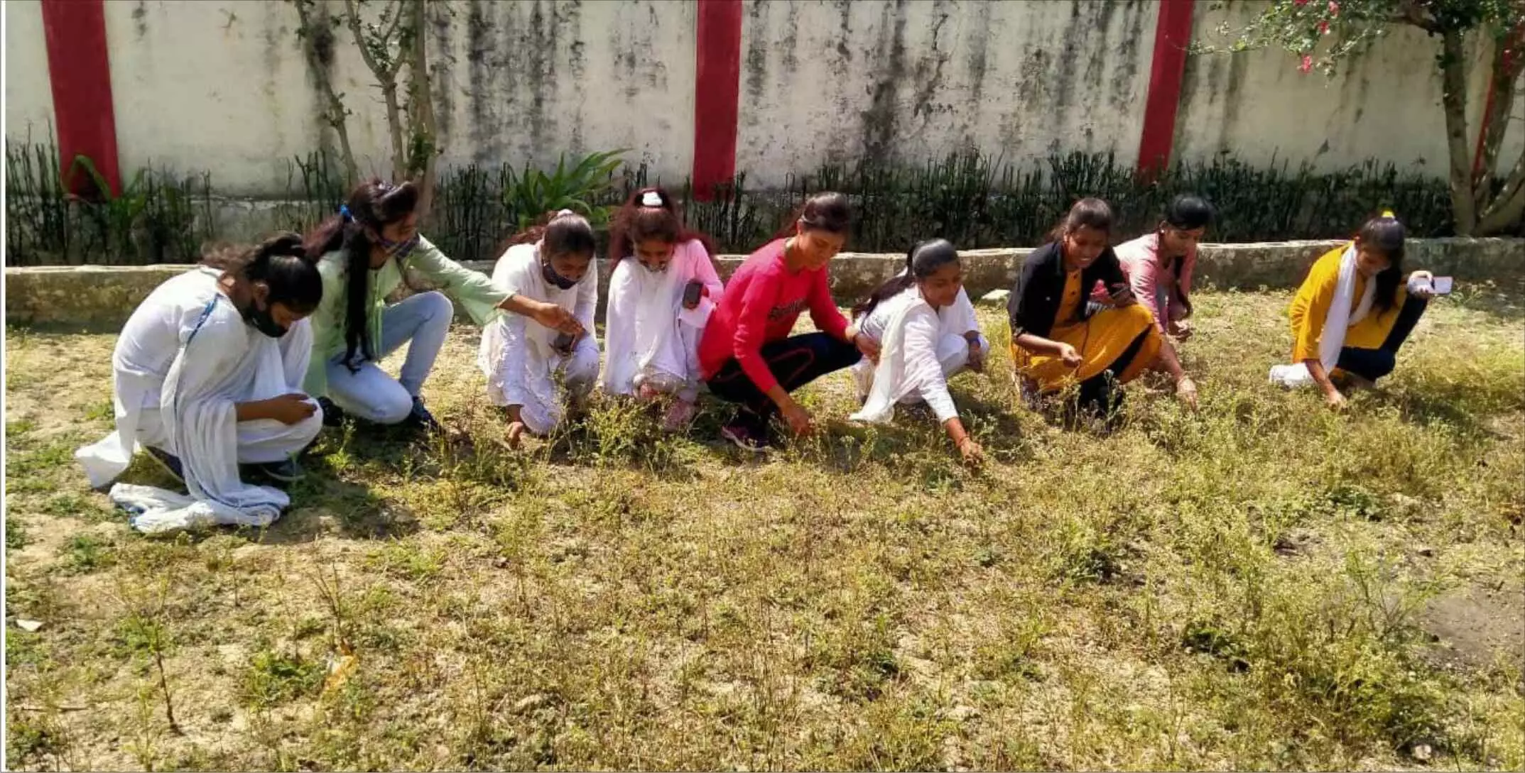 रामकिशुन महाविद्यालय की स्वयंसेविकाओं ने किया श्रमदान