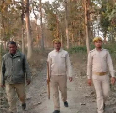 आबादी में दिखा तेंदुआ, वन कर्मियों ने शुरू की कांबिंग आबादी में दिखा तेंदुआ, वन कर्मियों ने शुरू की कांबिंग