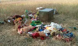 सेंध लगाकर लाखों की चोरी, खेत में बिखरा पड़ा मिला समान।