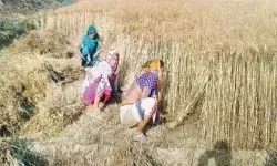 डीजल के बढ़ते दामों ने किसानों की तोड़ी कमर