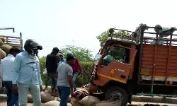 तेज रफ्तार डीसीएम पिकप डाले में पीछे से घुसी,चालक व गल्ला व्यापारी की दर्दनाक मौत तेज रफ्तार डीसीएम पिकप डाले में पीछे से घुसी,चालक व गल्ला व्यापारी की दर्दनाक मौत