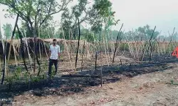 पान के खेत में लगी भीषण आग के चलते तबाह हुआ किसान परिवार पान के खेत में लगी भीषण आग के चलते तबाह हुआ किसान परिवार