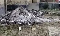 पर्यावरण संरक्षण को लेकर लगाई गई रोक के बावजूद तहसील परिसर में जलाया गया कूड़ा