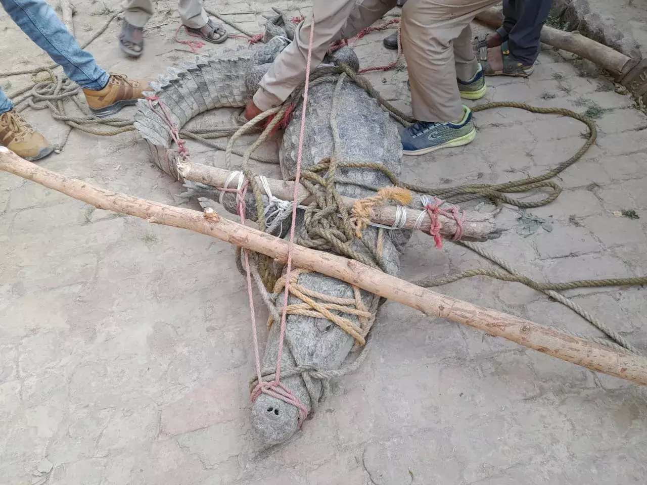 10 рдШрдВрдЯреЗ рдмрд╛рдж рдордЧрд░рдордЪреНрдЫ рдХрд╛ рд╢рд┐рдХрд╛рд░ рдмрдиреЗ рдмрдЪреНрдЪреЗ рдХрд╛ рд╢рд╡ рд╣реБрд╡рд╛ рдмрд░рд╛рдордж 10 рдШрдВрдЯреЗ рдмрд╛рдж рдордЧрд░рдордЪреНрдЫ рдХрд╛ рд╢рд┐рдХрд╛рд░ рдмрдиреЗ рдмрдЪреНрдЪреЗ рдХрд╛ рд╢рд╡ рд╣реБрд╡рд╛ рдмрд░рд╛рдордж