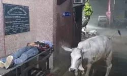 डिप्टी सीएम ने मेडिकल कॉलेज के प्राचार्य से चार दिन में मांगा जवाब डिप्टी सीएम ने मेडिकल कॉलेज के प्राचार्य से चार दिन में मांगा जवाब