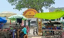 अवैध कब्जे की गिरफ्त में प्राथमिक पाठशाला रुपईडीहा