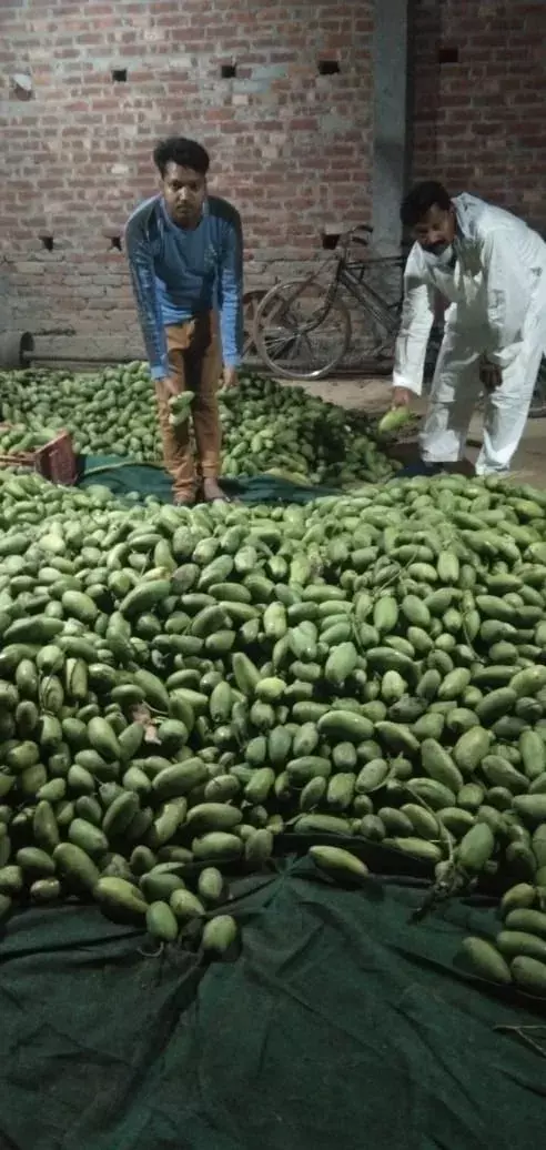 рдЕрдЪрд╛рдирдХ рдЖрдВрдзреА рдкрд╛рдиреА рдЖрдиреЗ рд╕реЗ рдлрд▓ рдкрдЯреНрдЯреА рдорд▓рд┐рд╣рд╛рдмрд╛рдж рд╕реЗ рдХрд┐рд╕рд╛рди рд╣реБрдП рдзрд░рд╛рд╢рд╛рдИ рдЕрдЪрд╛рдирдХ рдЖрдВрдзреА рдкрд╛рдиреА рдЖрдиреЗ рд╕реЗ рдлрд▓ рдкрдЯреНрдЯреА рдорд▓рд┐рд╣рд╛рдмрд╛рдж рд╕реЗ рдХрд┐рд╕рд╛рди рд╣реБрдП рдзрд░рд╛рд╢рд╛рдИ