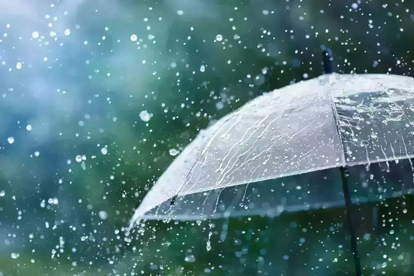 बरसात का मौसन लाया अनेको बीमारी , बचने के लिए करें उपाय