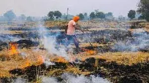 उत्तर प्रदेश में फसल अवशेष दहन (जलाने से) रोकने हेतु नियम व कानून उत्तर प्रदेश में फसल अवशेष दहन (जलाने से) रोकने हेतु नियम व कानून