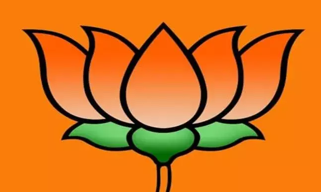 विपक्ष के जाल को तोड़ने के लिये बीजेपी उठाएगी बड़ा कदम, तैयार किया मसौदा विपक्ष के जाल को तोड़ने के लिये बीजेपी उठाएगी बड़ा कदम, तैयार किया मसौदा