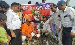 प्रकृति का संतुलन बना रहे इसके लिए हमें अधिक से अधिक वृक्ष लगाने चाहिए: सत्येंद्र सिंह भोलू प्रकृति का संतुलन बना रहे इसके लिए हमें अधिक से अधिक वृक्ष लगाने चाहिए: सत्येंद्र सिंह भोलू