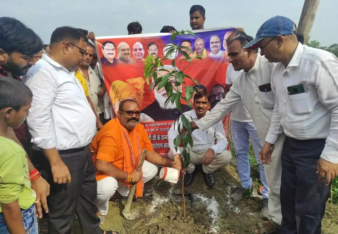 प्रकृति का संतुलन बना रहे इसके लिए हमें अधिक से अधिक वृक्ष लगाने चाहिए: सत्येंद्र सिंह भोलू