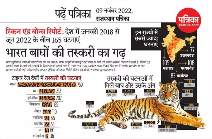 राजस्थान पत्रिका में 09 नवम्बर 2022 को भारत बाघों की तस्करी का गढ़ शीर्षक से प्रकाशित समाचार का खंडन