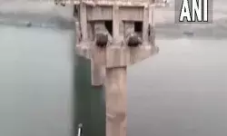 बिहार के बेगूसराय में 13 करोड़ रुपये की लागत से बना पुल गिरा, किसी के हताहत होने की सूचना नहीं