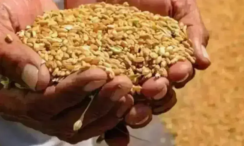 केंद सरकार ने लाभार्थियों को एक वर्ष के लिए मुफ्त खाद्यान्न देने का किया फैसला किया