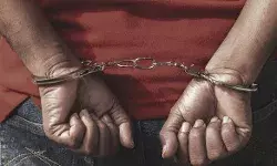 अमेरिका में भारतीय मूल के व्यक्ति को हत्या करने के प्रयास में गिरफ्तार किया गया है