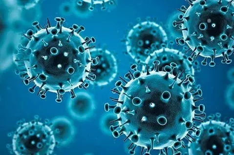 The number of cases of the XBB.1.5 variant of coronavirus in India increased to seven