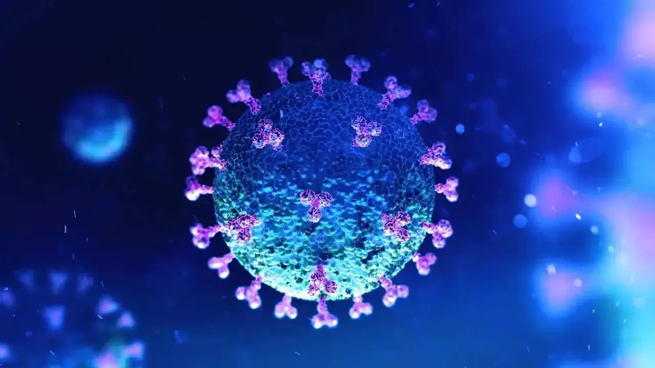 89 new corona cases registered in the country, the lowest number of daily cases since March 2020