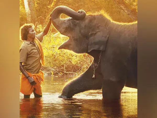 भारत ने ऑस्कर जीता: गुनीत मोंगा की एलीफैंट व्हिस्परर्स ने सर्वश्रेष्ठ वृत्तचित्र लघु फिल्म श्रेणी में पुरस्कार जीता