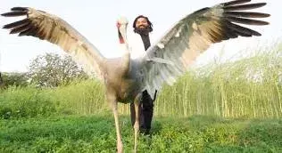 सपा प्रमुख सारस की आड़ में आरिफ के नाम पर राजनीति कर रहे हैं: श्री भूपेंद्र सिंह चौधरी सपा प्रमुख सारस की आड़ में आरिफ के नाम पर राजनीति कर रहे हैं: श्री भूपेंद्र सिंह चौधरी