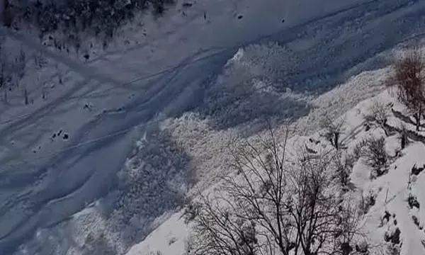 सिक्किम नाथुला रोड पर हिमस्खलन में 6 की मौत 80 से ज्यादा के फंसे होने की आशंका सिक्किम नाथुला रोड पर हिमस्खलन में 6 की मौत 80 से ज्यादा के फंसे होने की आशंका