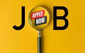 Senior Test Manager: Location:Nagpur, Project role:Senior test manager,  Qualification: B-Tech  Experience:7-12 Years, Skills: Performance Testing , No. of positions:2
