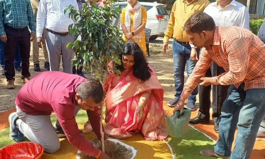अवध विवि के आईईटी परिसर में कुलपति द्वारा किया गया वृक्षारोपण का शुभारम्भ ,आने वाली पीढ़ी के लिए पर्यावरण को बचाये रखना होगाः कुलपति प्रो0 प्रतिभा गोयल