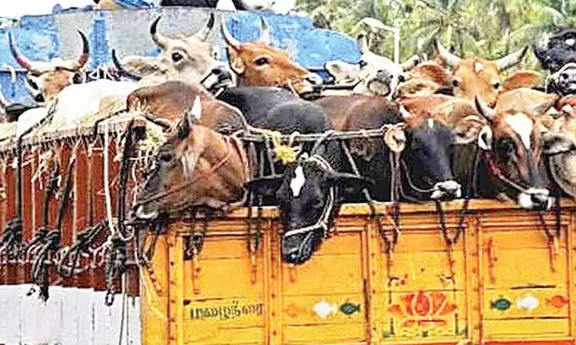 बकरीद के मौके पर अवैध पशु परिवहन की जांच के लिए हैदराबाद पुलिस ने कसी कमर