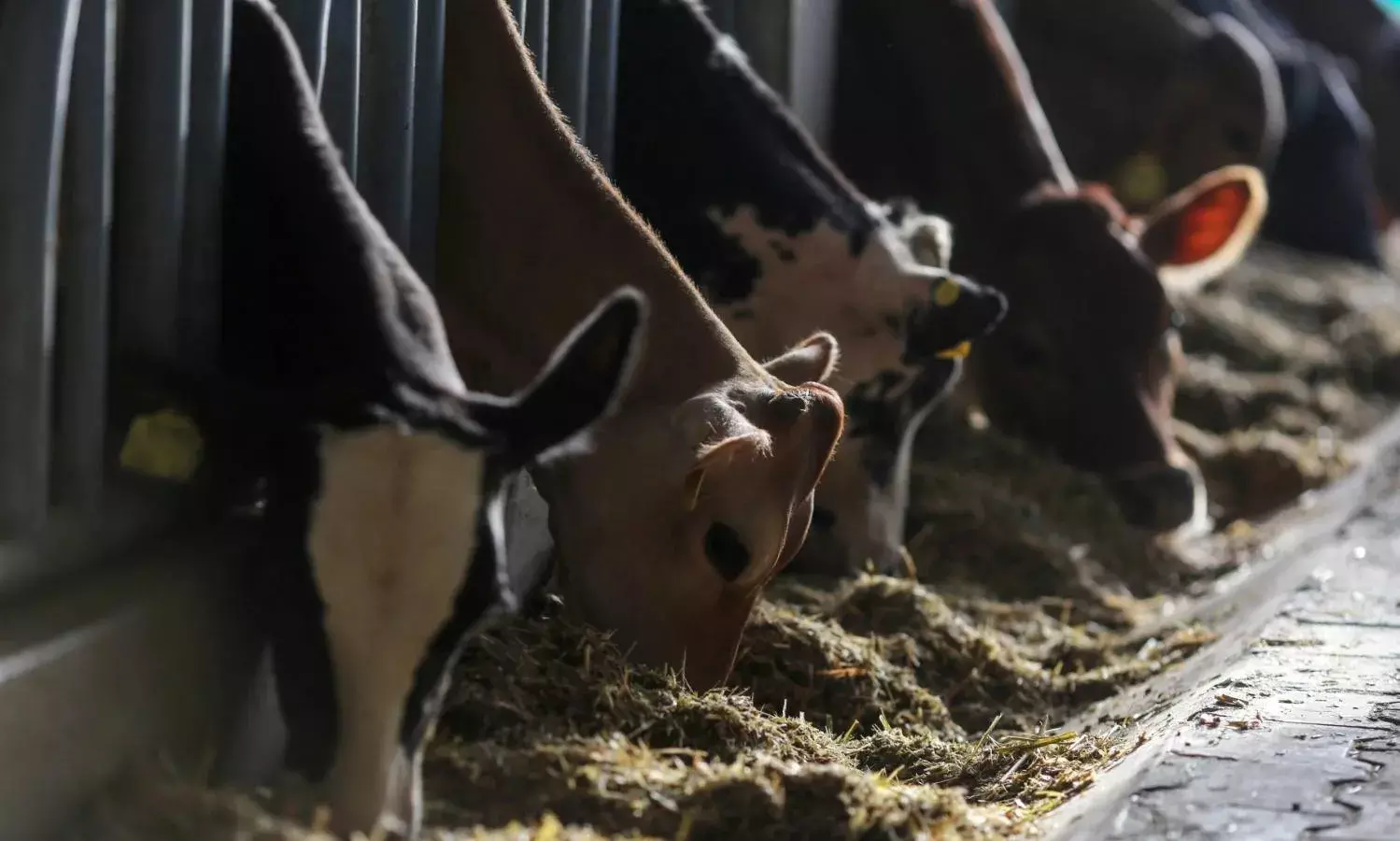 рдкрд╢реБрдзрди рдФрд░ рдкрд╢реБрдзрди рдЙрддреНрдкрд╛рдж рдЖрдпрд╛рдд рдФрд░ рдирд┐рд░реНрдпрд╛рдд рд╡рд┐рдзреЗрдпрдХ рдХрд╛ рдорд╕реМрджрд╛ рд╕рд░рдХрд╛рд░ рдиреЗ рд╡рд╛рдкрд╕ рд▓реЗ рд▓рд┐рдпрд╛ рдкрд╢реБрдзрди рдФрд░ рдкрд╢реБрдзрди рдЙрддреНрдкрд╛рдж рдЖрдпрд╛рдд рдФрд░ рдирд┐рд░реНрдпрд╛рдд рд╡рд┐рдзреЗрдпрдХ рдХрд╛ рдорд╕реМрджрд╛ рд╕рд░рдХрд╛рд░ рдиреЗ рд╡рд╛рдкрд╕ рд▓реЗ рд▓рд┐рдпрд╛