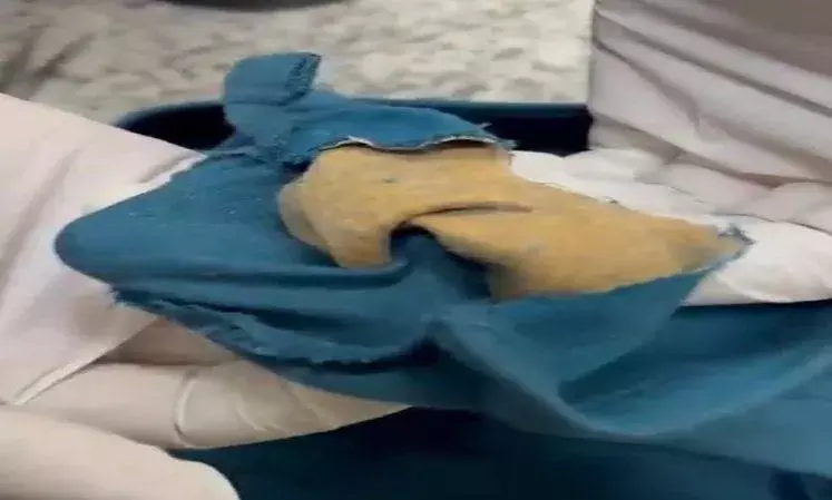 हैदराबाद में सोने के पेस्ट की तस्करी कर रहे एक यात्री को पुलिस ने गिरफ्तार कर लिया हैदराबाद में सोने के पेस्ट की तस्करी कर रहे एक यात्री को पुलिस ने गिरफ्तार कर लिया