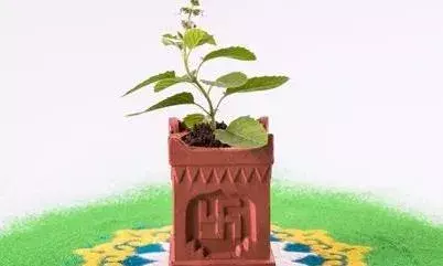 рд╣рд░рд┐ рдкреНрд░рдмреЛрдзрд┐рдиреА рдПрдХрд╛рджрд╢реА рдЖрдЬ ,рдЬрд╛рдЧреЗрдВрдЧреЗ рд╢реНрд░реА рд╣рд░рд┐ ,рд╣реЛрдЧрд╛ рддреБрд▓рд╕реА рдорд╣рд╛рд░рд╛рдиреА рд╕рдВрдЧ рдкрд╛рдгрд┐рдЧреНрд░рд╣рдг рд╕рдВрд╕реНрдХрд╛рд░ рд╣рд░рд┐ рдкреНрд░рдмреЛрдзрд┐рдиреА рдПрдХрд╛рджрд╢реА рдЖрдЬ ,рдЬрд╛рдЧреЗрдВрдЧреЗ рд╢реНрд░реА рд╣рд░рд┐ ,рд╣реЛрдЧрд╛ рддреБрд▓рд╕реА рдорд╣рд╛рд░рд╛рдиреА рд╕рдВрдЧ рдкрд╛рдгрд┐рдЧреНрд░рд╣рдг рд╕рдВрд╕реНрдХрд╛рд░