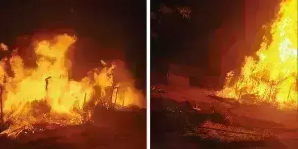 हिमाचल में भीषण अग्निकांड, जिंदा जल गए मां और भाई-बहन, पिता भी झुलसे