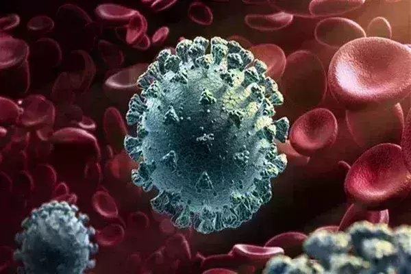 तेजी से फैल रहा कोरोना, 24 घंटे में इतने नए केस; केरल में तीन लोगों की मौत तेजी से फैल रहा कोरोना, 24 घंटे में इतने नए केस; केरल में तीन लोगों की मौत