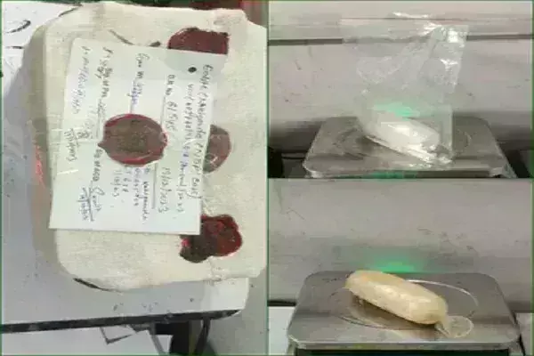 दिल्ली हवाई अड्डे पर पकड़ी गई 3 करोड़ रुपए से अधिक की कोकीन, युगांडा से लाई थी महिला