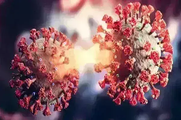 भारत में कोविड के 628 ताज़ा मामले, कुल संख्या 4,000 के पार भारत में कोविड के 628 ताज़ा मामले, कुल संख्या 4,000 के पार