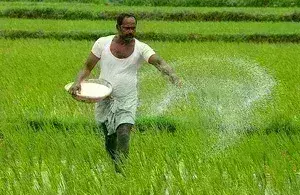 कृषि पर पड़ रहा जलवायु परिवर्तन का असर, विकास दर में चिंताजनक गिरावट
