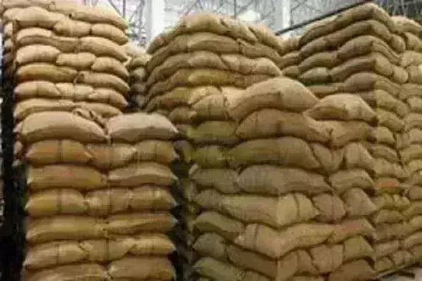 किसानों से 60 लाख क्विंटल धान खरीदेगी सरकार, कीमत पिछली बार से 250 रुपए ज्यादा किसानों से 60 लाख क्विंटल धान खरीदेगी सरकार, कीमत पिछली बार से 250 रुपए ज्यादा