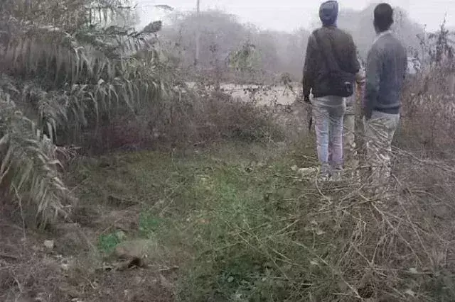 मोहाली में बड़ा हादसा : ट्रैक पर मिले 2 युवकों के शव