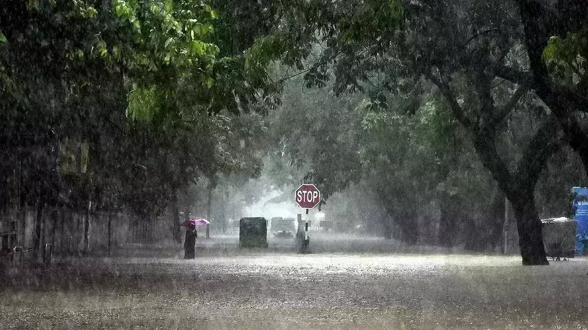 10 वर्षों में भारत की 55 फीसदी इलाकों में बारिश बढ़ी 10 वर्षों में भारत की 55 फीसदी इलाकों में बारिश बढ़ी