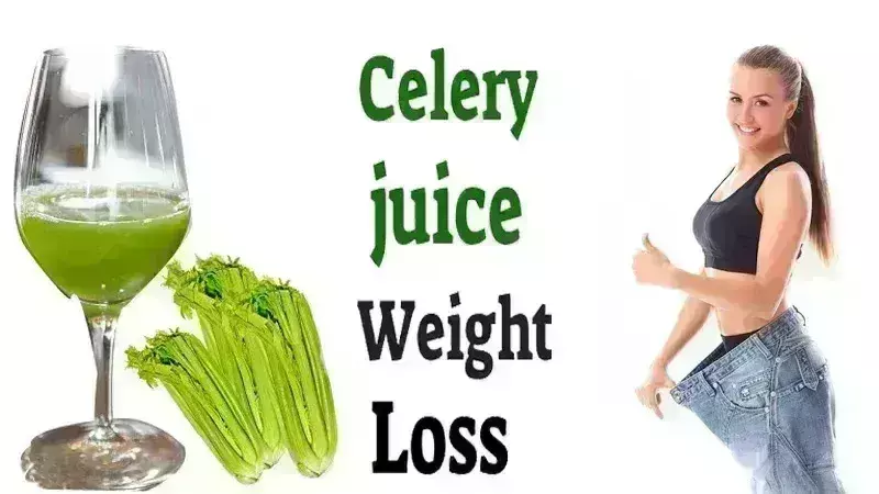 वजन घटाने के लिए सुबह खाली पेट पिएं सेलरी जूस, बिना एक्सरसाइज के घट जाएगा कई किलो वजन