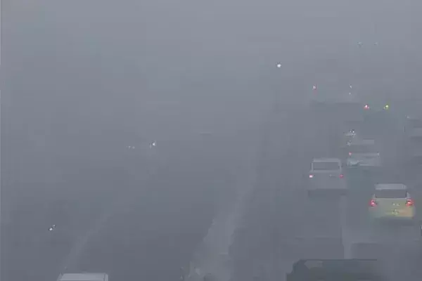 घने कोहरे की चादर में लिपटा उत्तर भारत, IGI एयरपोर्ट पर 50 से ज्यादा फ्लाइट लेट- लंबी दूरी की कई ट्रेनें रद्द